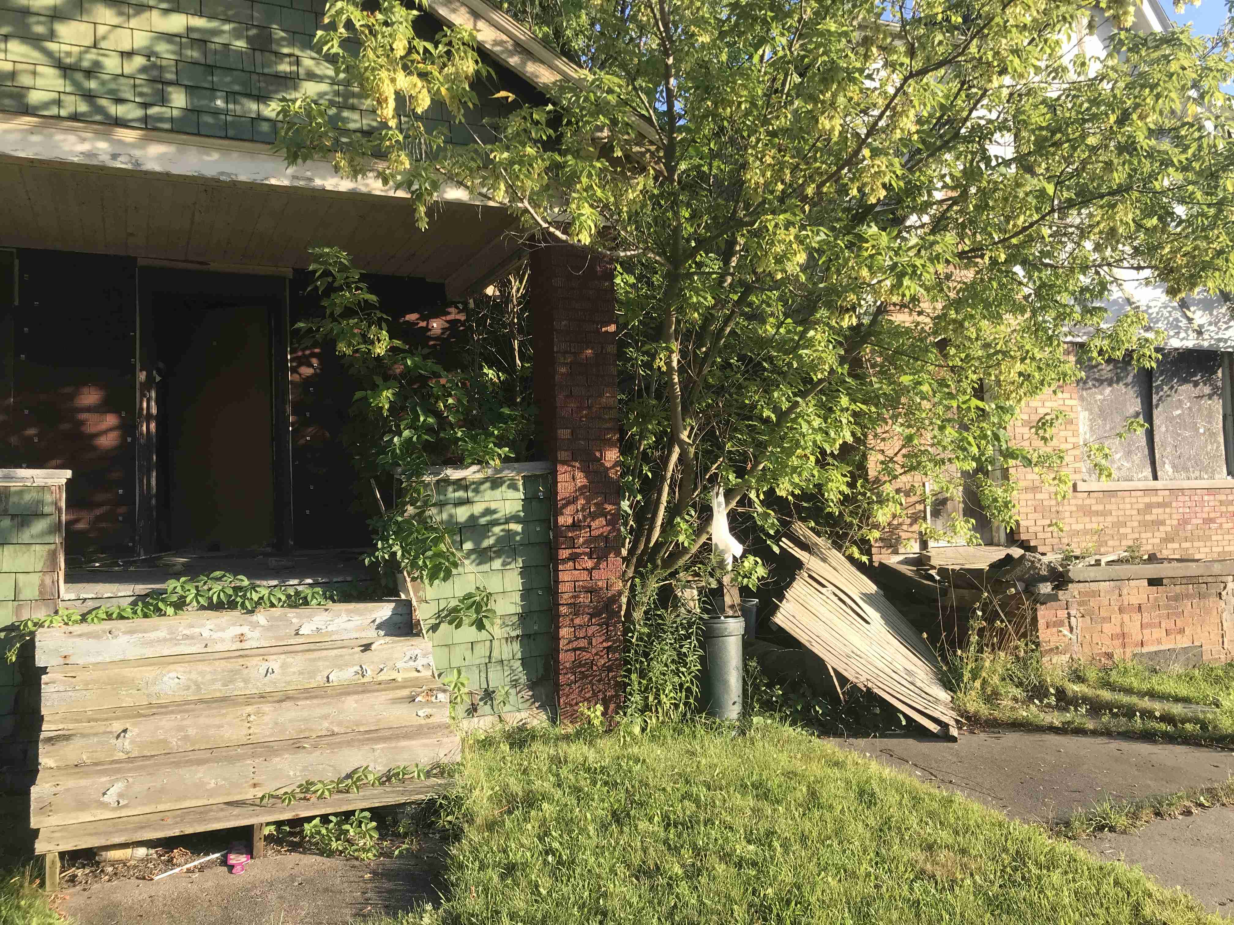 Photo Aug 20, 7 09 18 PM.jpg